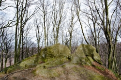 CHŘIBY - ROZŠTÍPENÁ SKÁLA 2020