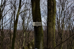 CHŘIBY - ROZŠTÍPENÁ SKÁLA 2020