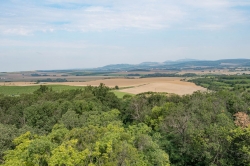 KOLONÁDA REISTNA 2020