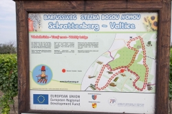 STEZKA BOSOU NOHOU - OKOLÍ VALTICE 2020