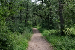 STEZKA BOSOU NOHOU - OKOLÍ VALTICE 2020