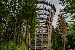 KRKONOŠSKÁ STEZKA KORUNAMI STROMŮ         - JANSKÉ LÁZNĚ