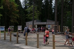 KRKONOŠSKÁ STEZKA KORUNAMI STROMŮ         - JANSKÉ LÁZNĚ