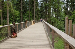 KRKONOŠSKÁ STEZKA KORUNAMI STROMŮ         - JANSKÉ LÁZNĚ