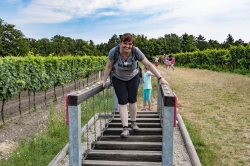 STEZKA BOSOU NOHOU - OKOLÍ VALTICE 2020