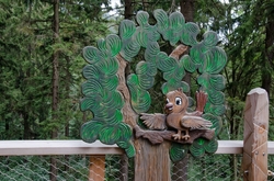 KRKONOŠSKÁ STEZKA KORUNAMI STROMŮ         - JANSKÉ LÁZNĚ