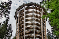 KRKONOŠSKÁ STEZKA KORUNAMI STROMŮ         - JANSKÉ LÁZNĚ