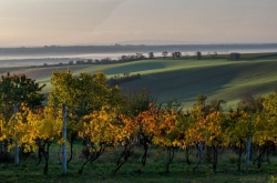 STRÁŽOVICE - OKOLÍ 2019