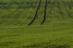 STRÁŽOVICE - OKOLÍ 2019