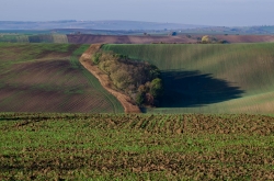 STRÁŽOVICE - OKOLÍ 2019