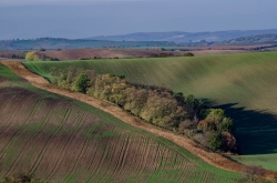 STRÁŽOVICE - OKOLÍ 2019