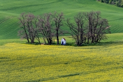 KAPLIČKA SV. BARBORY - STRÁŽOVICE 2021