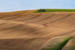 ŠARDICE A OKOLÍ 2021