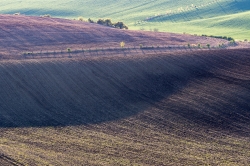 TOSKÁNSKÉ VLNY 2021