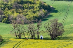 KAPLIČKA SV. BARBORY - STRÁŽOVICE 2021