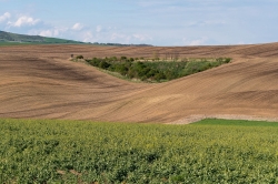 ŠARDICE A OKOLÍ 2021