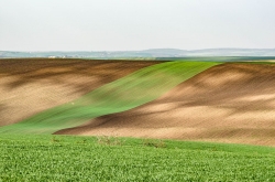 ŠARDICE - OKOLÍ 2020