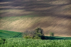 ŠARDICE - OKOLÍ 2020