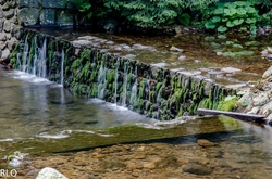 ÚPA V PECI POD SNĚŽKOU