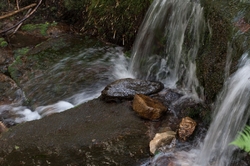 ÚPA V PECI POD SNĚŽKOU