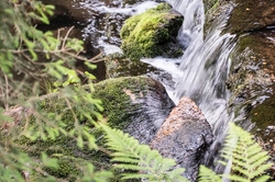 ÚPA V PECI POD SNĚŽKOU