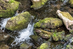 ÚPA V PECI POD SNĚŽKOU