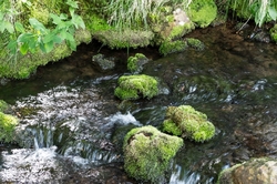 ÚPA V PECI POD SNĚŽKOU