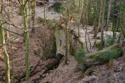 CHŘIBY - CIHELKA ZÁSTŘIZLY 2020