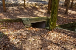 CHŘIBY - PODCHOD ZÁSTŘIZLY 2020