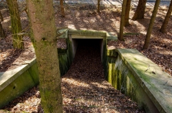 CHŘIBY - PODCHOD ZÁSTŘIZLY 2020