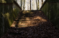 CHŘIBY - PODCHOD ZÁSTŘIZLY 2020