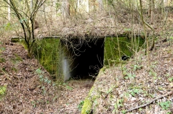 CHŘIBY - PODCHOD ZÁSTŘIZLY 2020