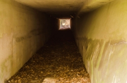 CHŘIBY - PODCHOD ZÁSTŘIZLY 2020